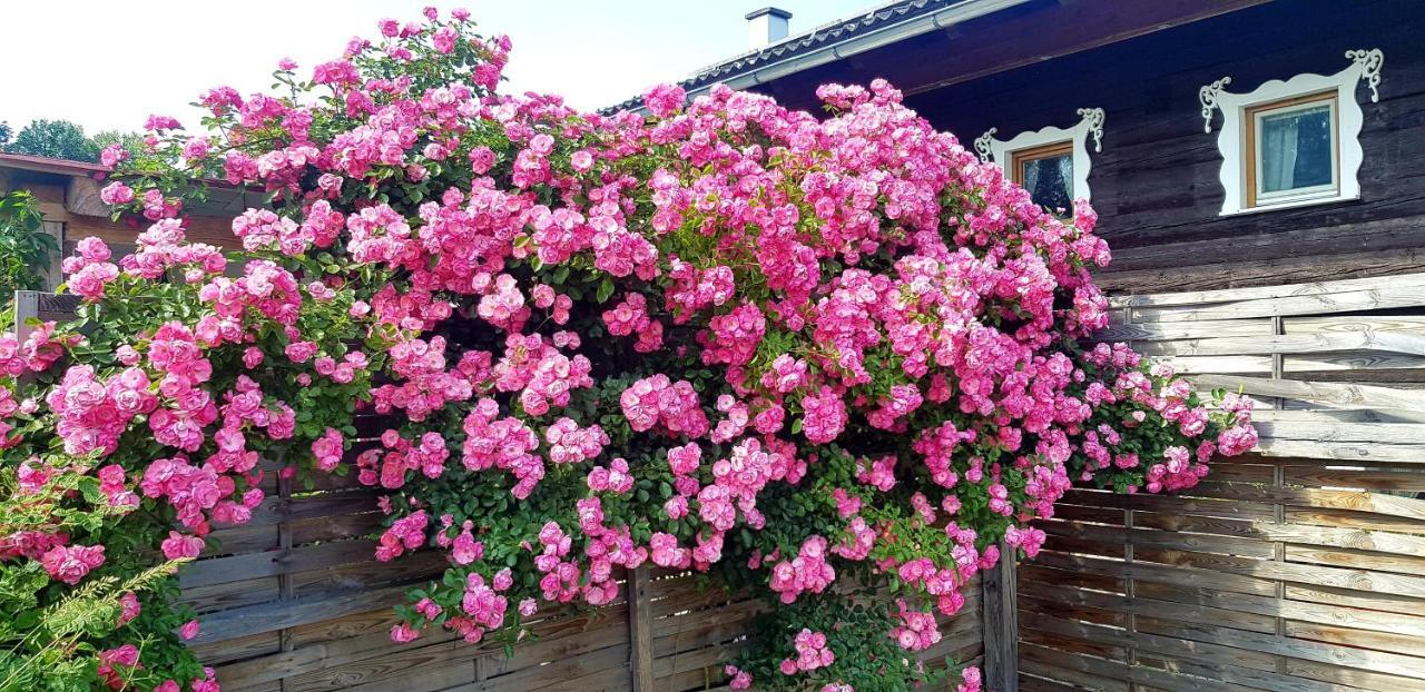 Ferienwohnung Rosenheim Wagenham エクステリア 写真